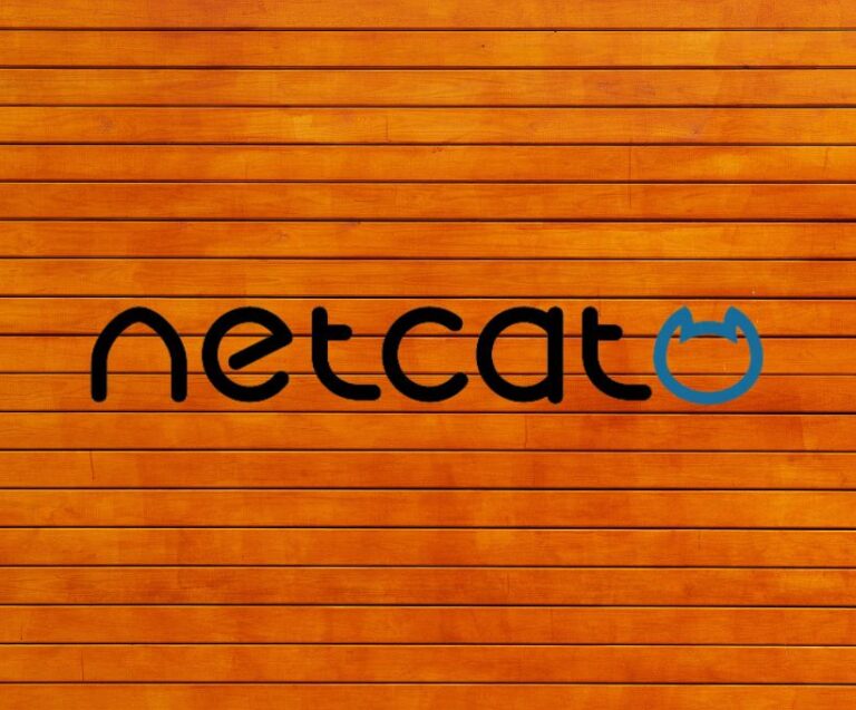 Reverse Shell with Netcat