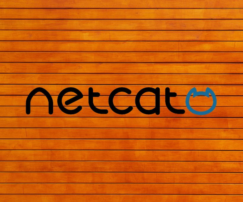 Reverse Shell with Netcat