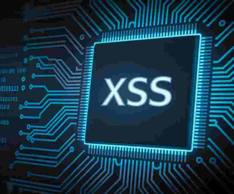 Cross-Site Scripting (XSS) work